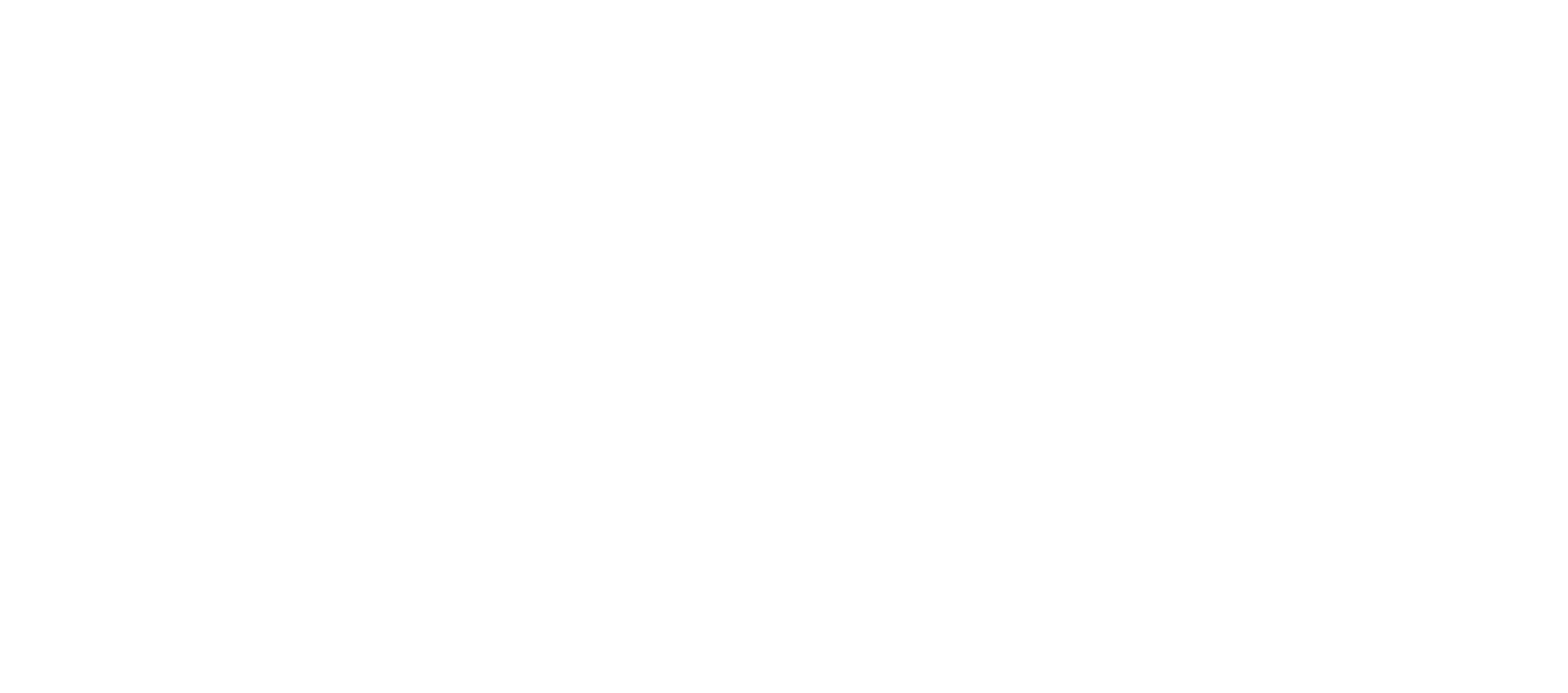 Engineering and platform team